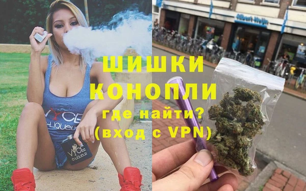стафф Михайлов