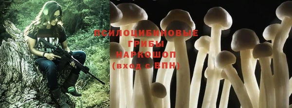 трава Михайловка