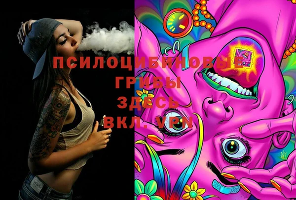 стафф Михайлов