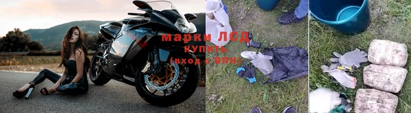 стафф Михайлов